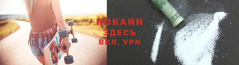 где продают наркотики  Каменногорск  Cocaine 99% 